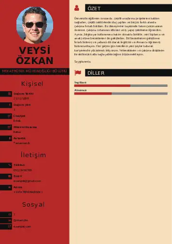 Mekatronik Mühendisliği Cv Örnekleri cv indir